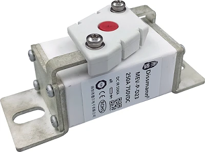 EV laadija kaitsmed 315A 1000VDC